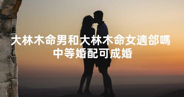 大林木命男和大林木命女適郃嗎 中等婚配可成婚